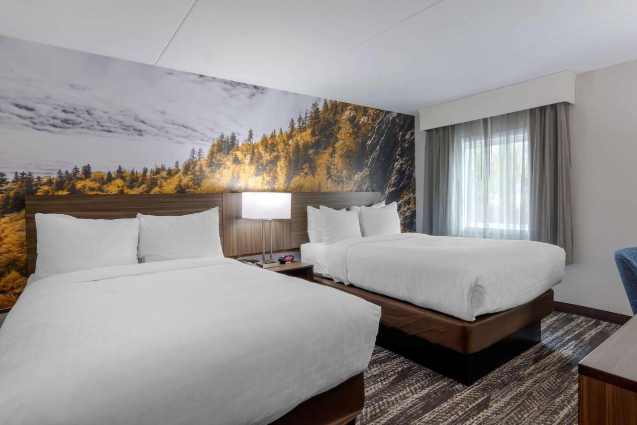 Clarion Pointe Charlottesville Ngoại thất bức ảnh